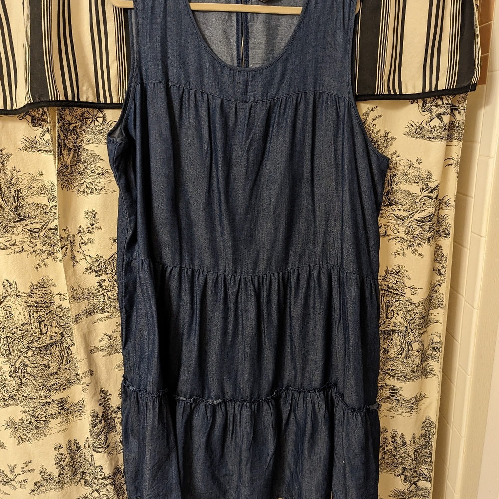 Plus size blue jean dress.